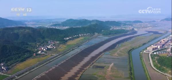 从“内卷式”竞争到突破困局 我国光伏行业自律取得积极成效