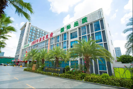 一杯晨光奶，半世纪深港情