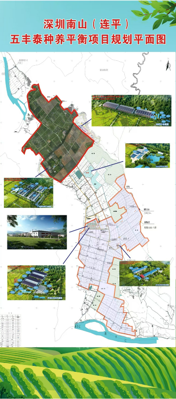 从地产到农田的跨界转身，深圳五丰泰农业引领河源连平智慧生态农业转型