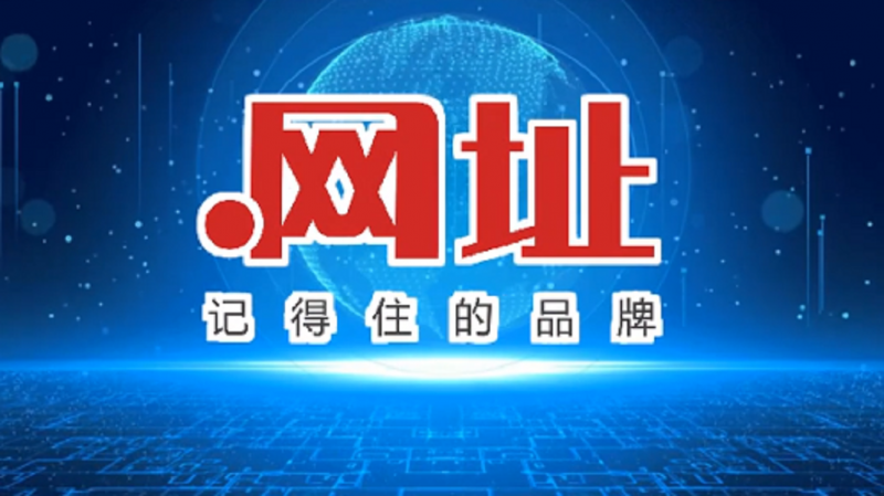 “矿产.网址”：中文域名的新趋势、前景与市场价值