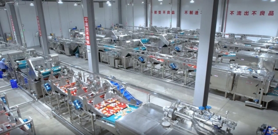 卫龙透明工厂：全链条守护，打造品质食品的新标杆
