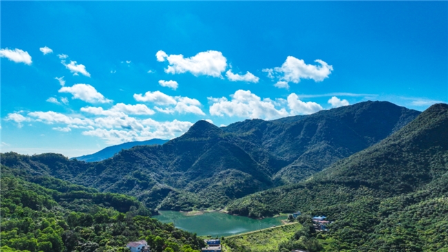 大爱涌动观音山  ——广东观音山国家森林公园履行社会责任观察