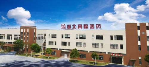 惊蛰时节｜真福医药：以创新活力书写健康新篇章
