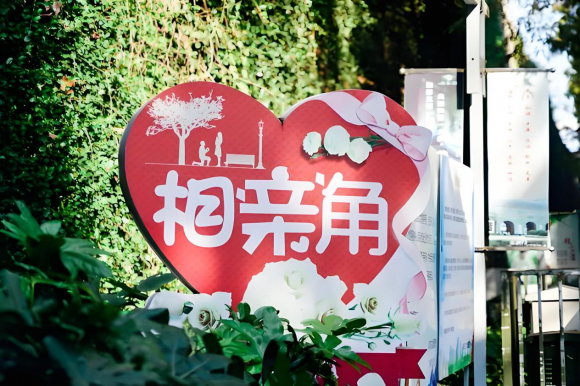 从精准匹配到家长对聊，寻缘相亲如何成为单身人士的"幸福桥梁"？