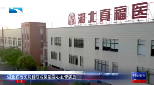 湖北电视台《荆楚聚焦》：真福医药枯草杆菌发酵资源，点亮心血管病患生命之光