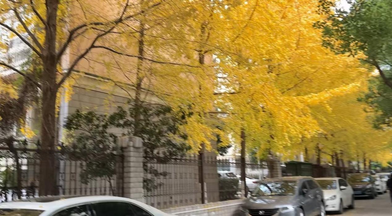 江苏百瑞赢：清明假期—传承文化，拥抱春日美好