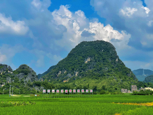 乡村振兴+生态酿酒 红荔“第一车间”绘就田园丰景