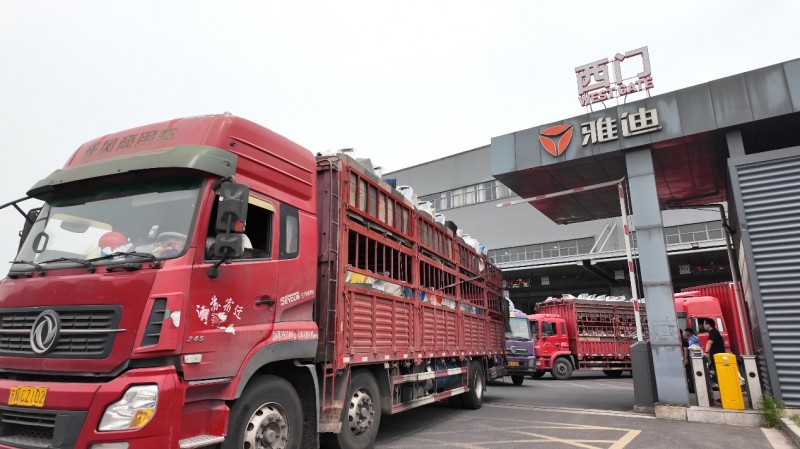 打造场景化产品矩阵，雅迪电动车一季度销量超400万台