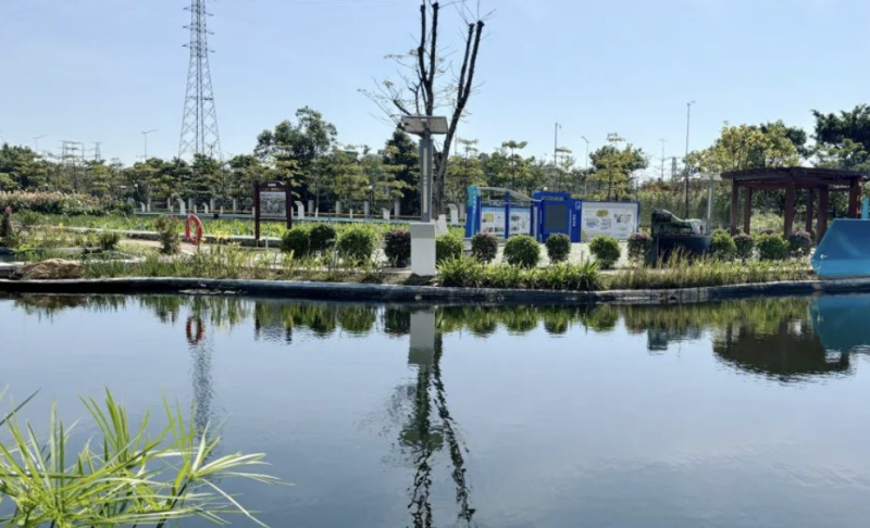 生物多样性国际日|北控水务守护湿地之美,共筑生物多样性绿洲