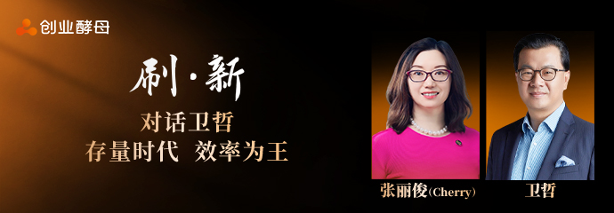 酵母咨询创始人张丽俊对话卫哲：没有效率的增长，是在加速自杀