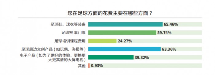 《中国足球环境及未来发展白皮书（2025）》发布：100吋大屏电视成球迷客厅新标配