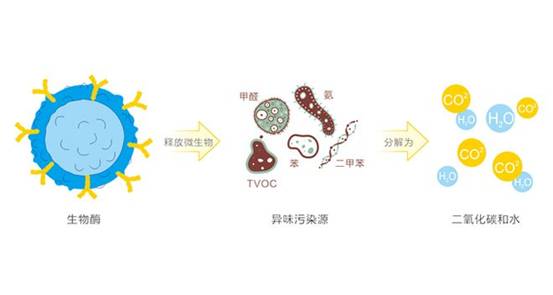 2025除甲醛产品品牌如何选择？深度实测