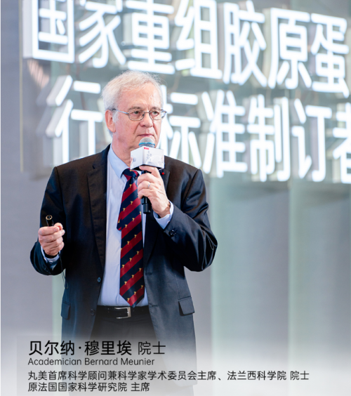 深耕重组胶原蛋白赛道，丸美生物以“双百”团队与全链路体系构筑科技护城河