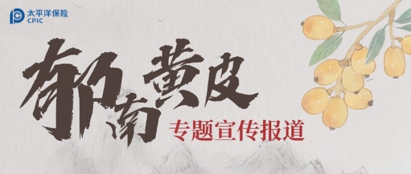 保险护航 金融赋能:太平洋保险助力 郁南黄皮产业高质量跃升