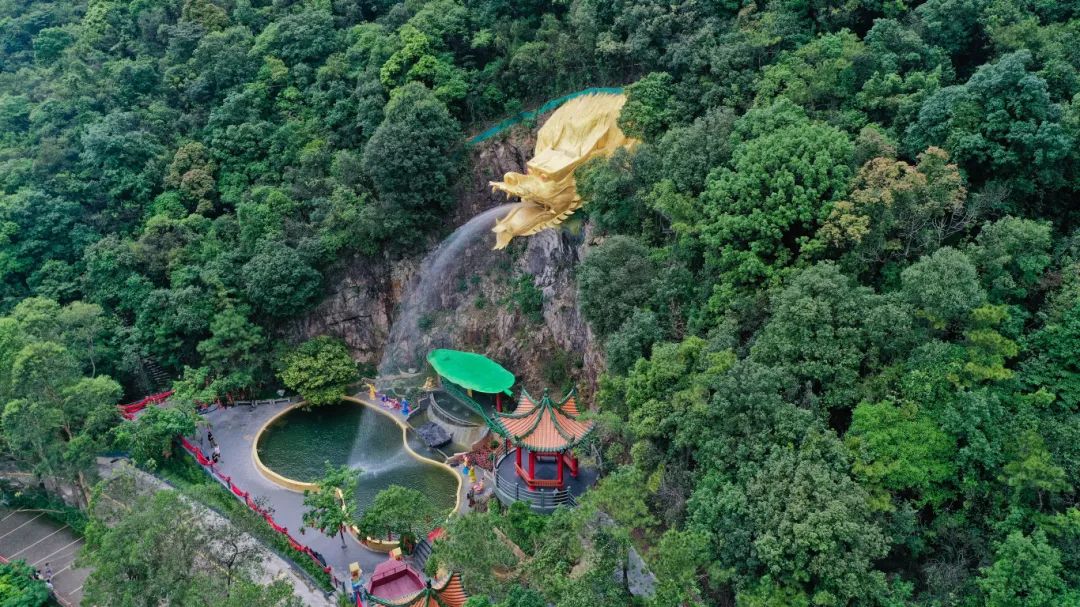 东莞观音山：践行“两山”理念的绿色典范