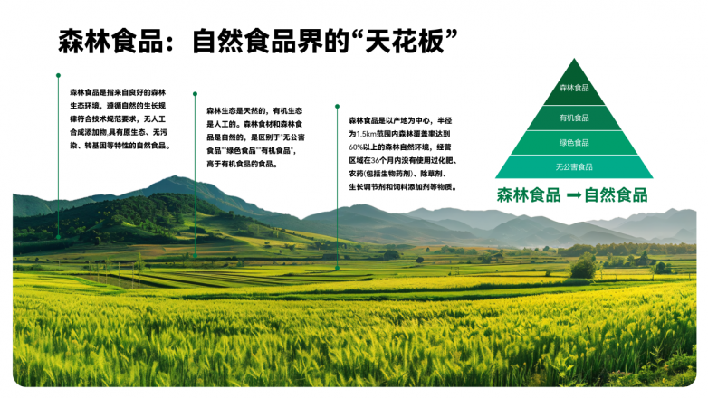 森林友机：重新定义有机食品，让森林馈赠滋养万家
