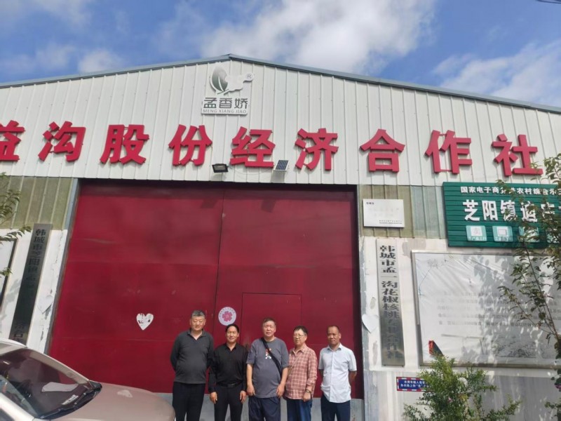 一粒花椒闯世界：孟香娇深耕有机三十载，韩城椒香远销海外