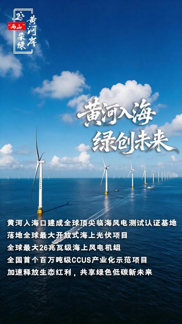 “两山”染绿黄河岸 | 黄河东入海，遇见绿色低碳新未来