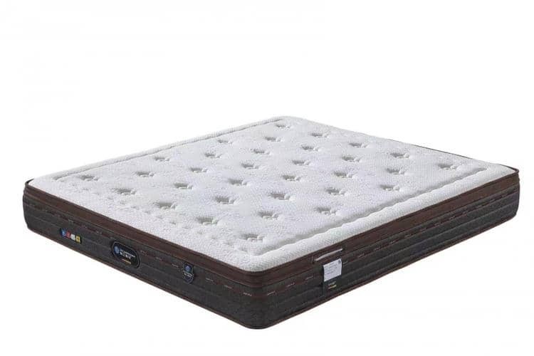 珠江海马十六载深耕睡眠赛道，以匠心铸就生态睡眠标杆