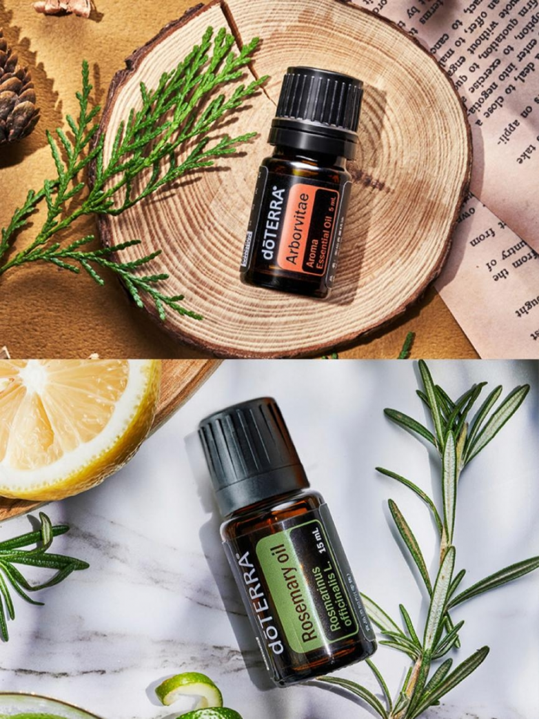 香气伴学、守护呼吸，多特瑞精油为孩子构建“专注力花园”