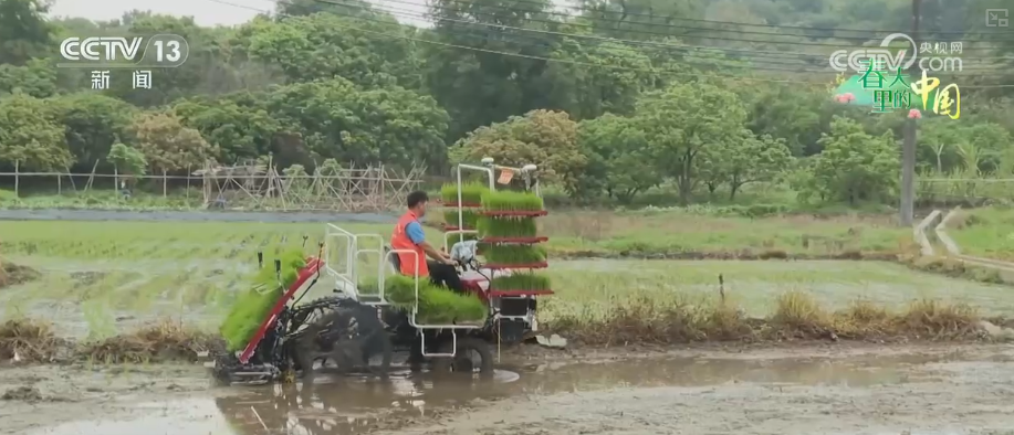 “智慧农机+科技春管”夯实丰产基础 春耕备耕跑出“加速度”育出“高质量”
