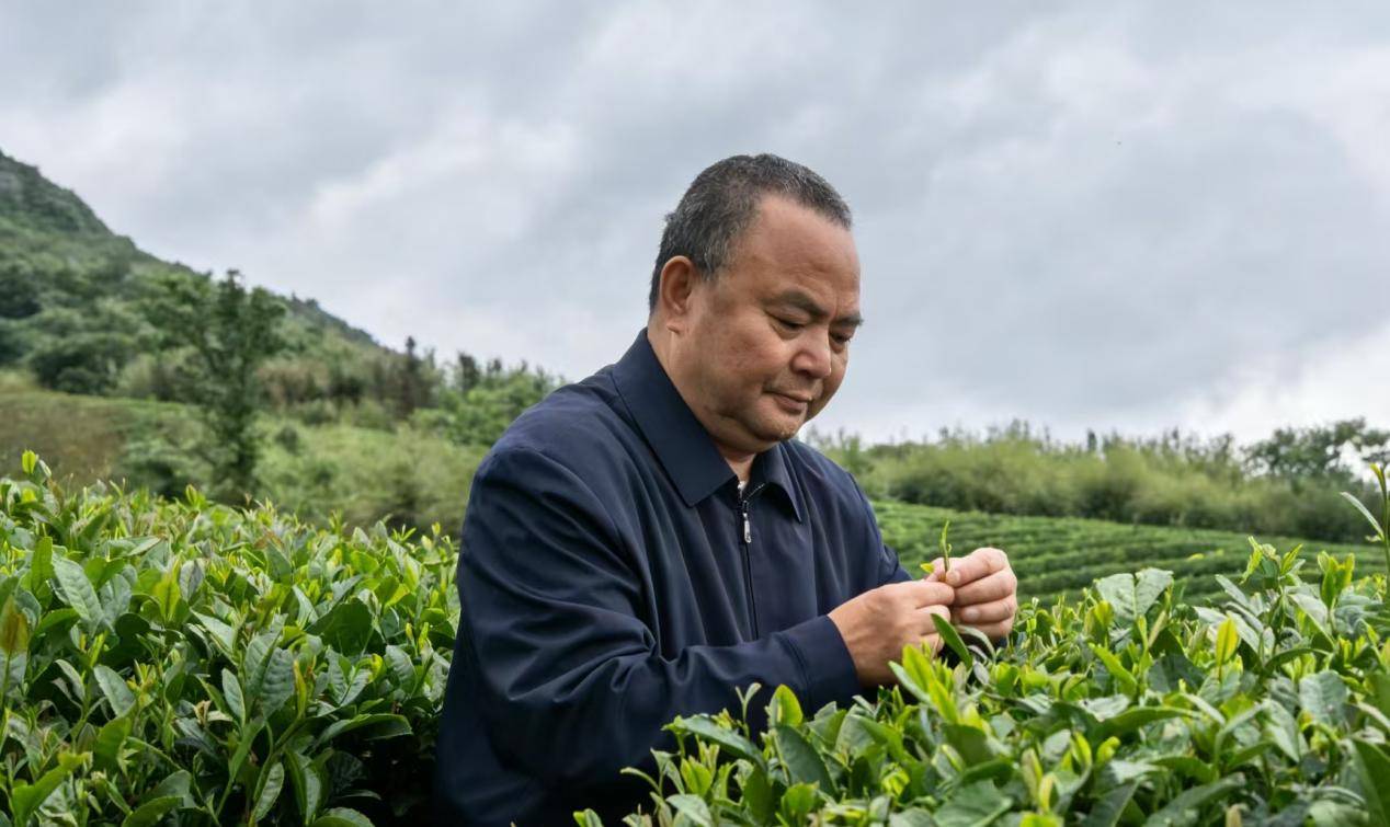 一片东方树叶，架起文明互鉴之桥——致敬罗大友先生的茶文化传奇