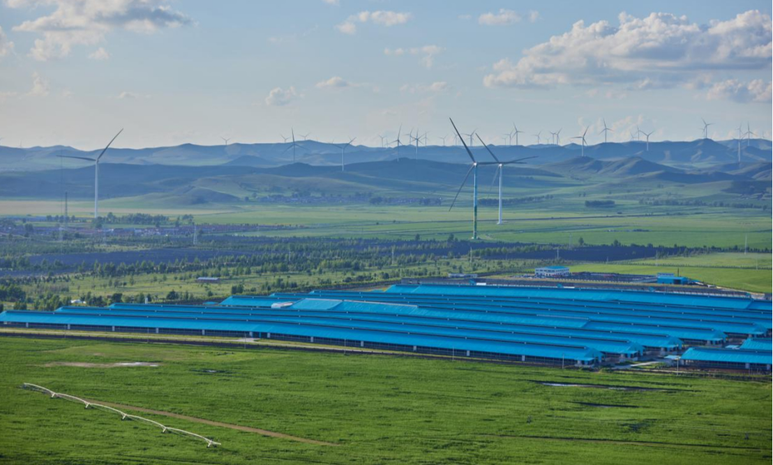 反向创新十年 简爱酸奶以“减法哲学”定义品质新高度