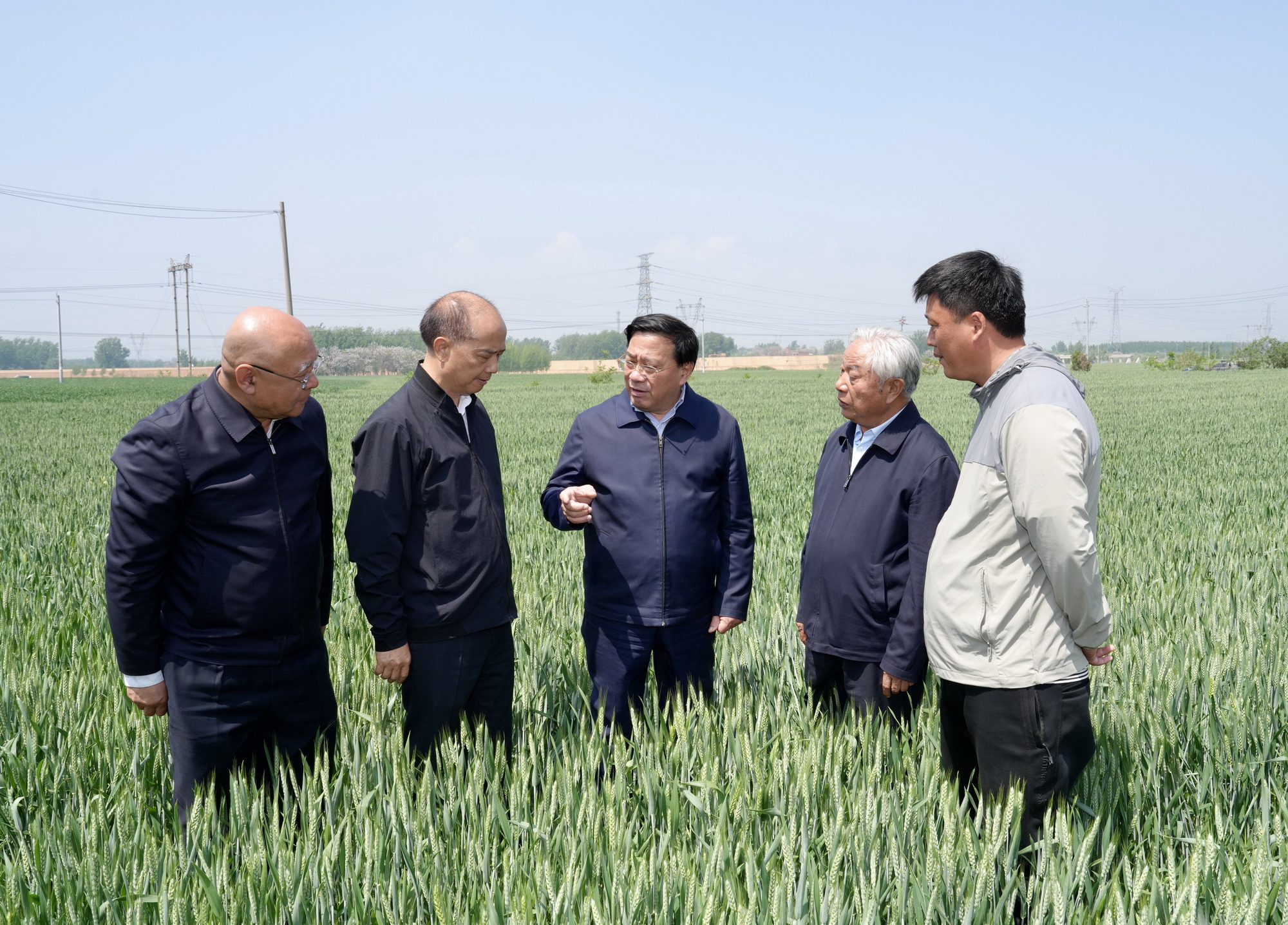 全力抓好春季农业生产 大力推动生猪产业内涵式发展