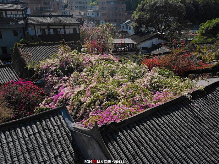 松典相机玩转多元视角，这个五一拍出你的出圈大片