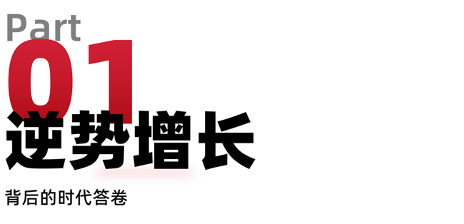 中国品牌营销咨询黑马诞生，引领行业变革