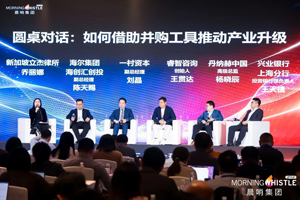 一村资本刘晶：没有两笔并购是相同的