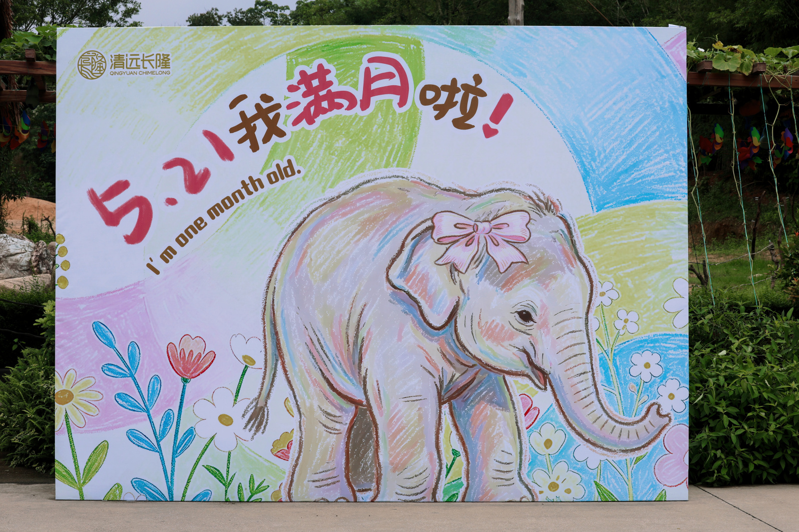 国际生物多样性日：清远长隆书写“泽万物共荣”生态答卷