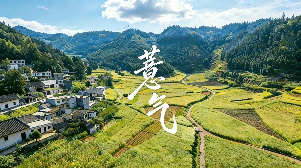 “薏气”品牌正式发布，科技赋能兴仁薏仁米迈向高端化发展