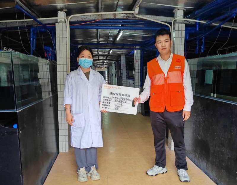 全国首单商业性观赏鱼养殖保险落地广州