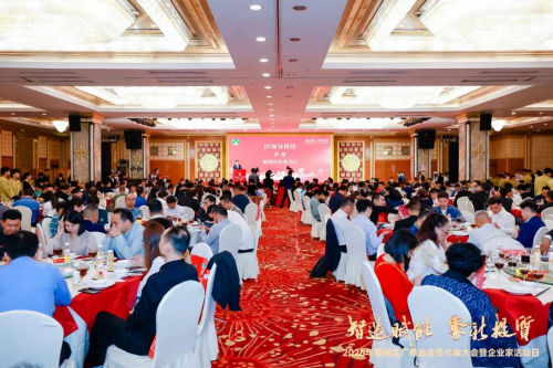 创新驱动，智赢未来！itc保伦股荣获2025年度番禺区“科技创新企业”称号！