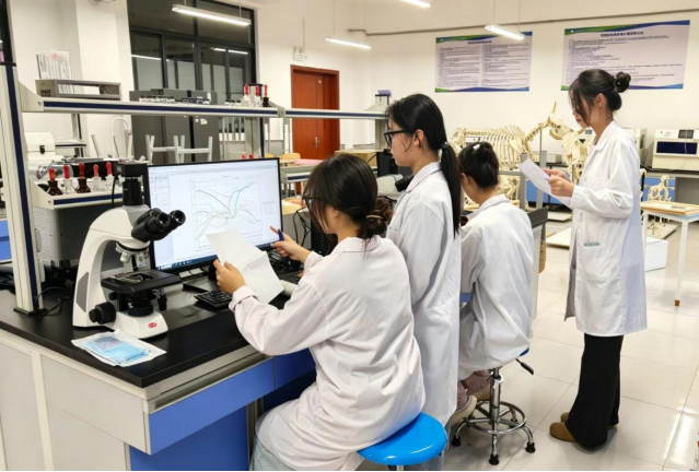 我国首个白头翁皂苷B4冻干粉针剂质量标准建立