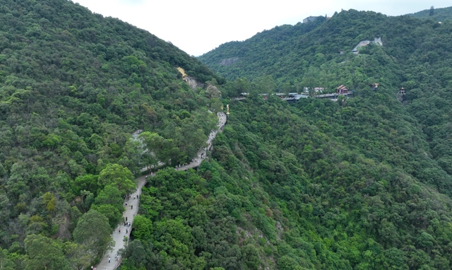 闹市筑绿岛 文韵燃山海——广东观音山以生态为基、文化破局铸就湾区文旅样板
