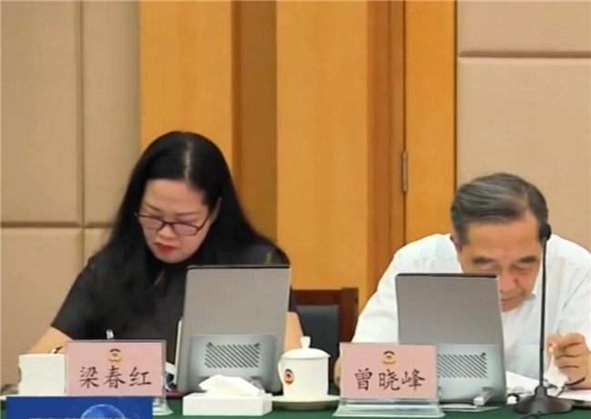 梁春红出席粤商・省长面对面协商座谈会 献策活化湛江海味粽子