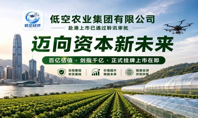 低空农业集团推进赴港上市新征程