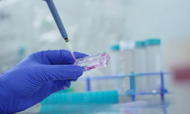 艾玮得生物完成新一轮融资，加速器官芯片+AI产业化进程