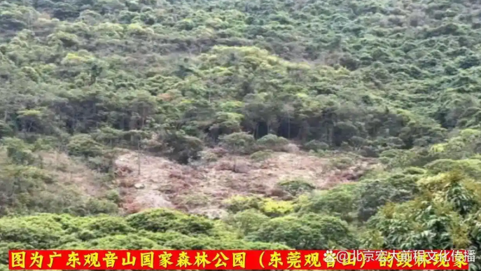 中国人的道德追求，东莞观音山给我们的启示